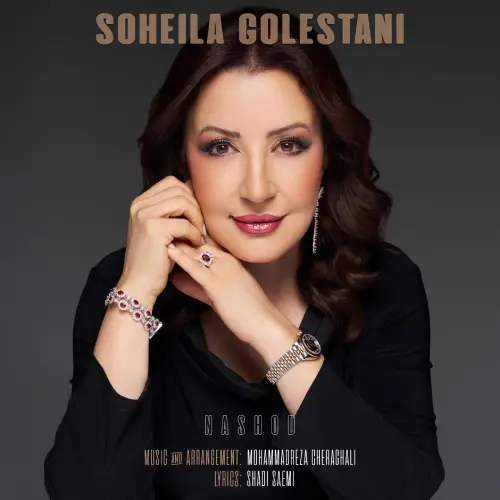 سهیلا گلستانی نشد